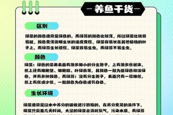 让家庭和谐青苔的风水