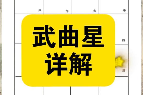 紫薇斗数中忌化解