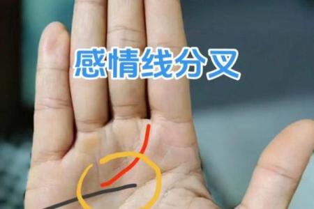 风水解读感情线断开上下两条好不好