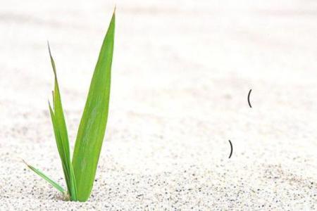 吕祖灵签抽签74