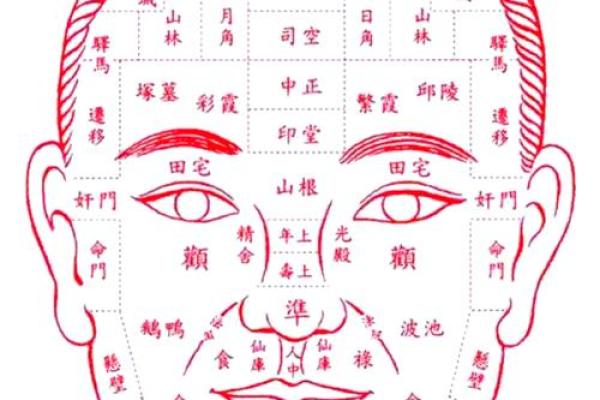 发际线的面相风水，你知道吗