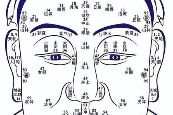 发际线的面相风水，你知道吗