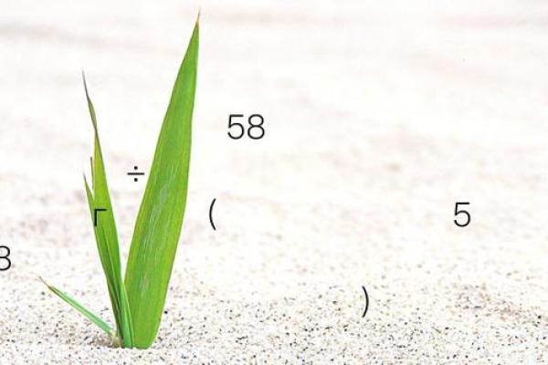 观音灵签54求姻缘