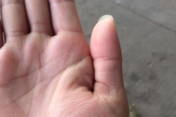 有谁知道宝应贸易城算命的地址