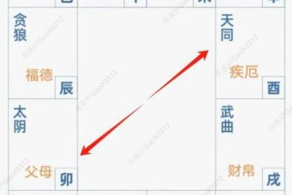紫微斗数疾厄宫武曲化权