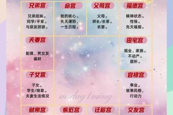 紫薇斗数与八字宫位