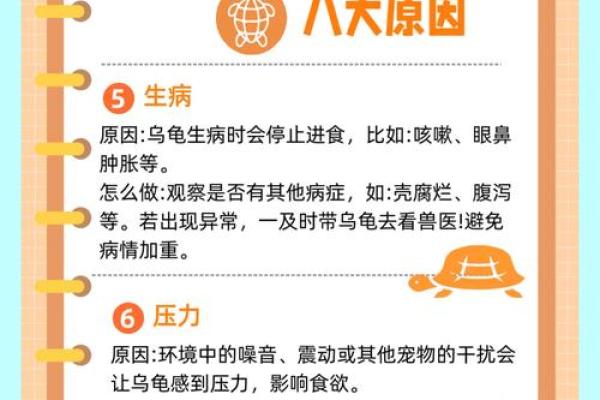 养龟风水_为什么卧室里面不能养乌龟