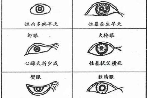 三角眉毛的面相算命图解
