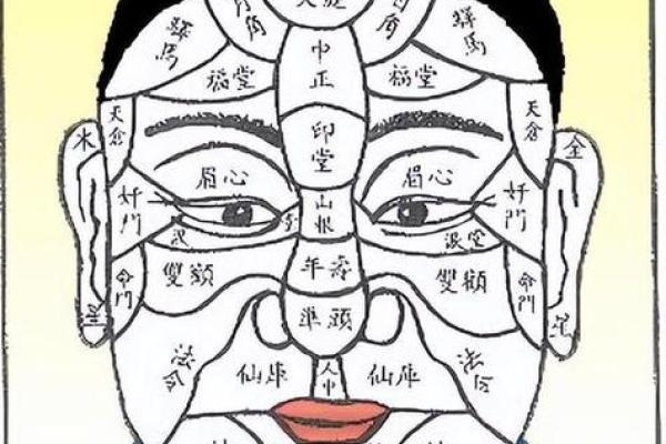 三角眉毛的面相算命图解
