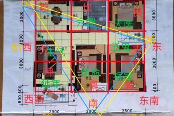 容易引起孩子多病的户型风水 容易引起孩子多病的户型风水