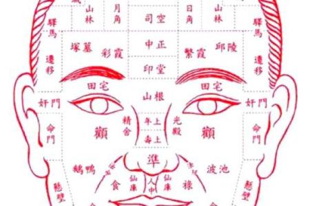 发际线的面相风水，你知道吗