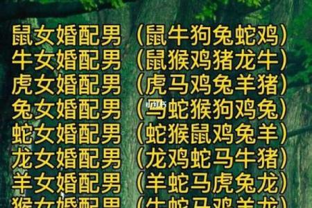 2000生人男的姻缘易奇八字