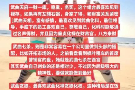 紫微斗数之福德宫与诸星，武曲星在福德宫是什么意思？