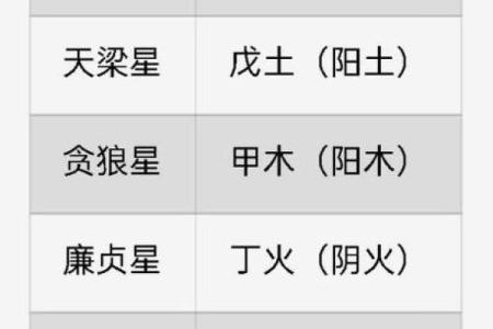 紫薇斗数安非主星