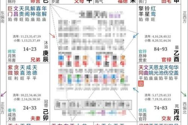 生年紫微斗数 紫薇斗数生年忌? 生年紫微斗数 紫薇斗数生年忌?
