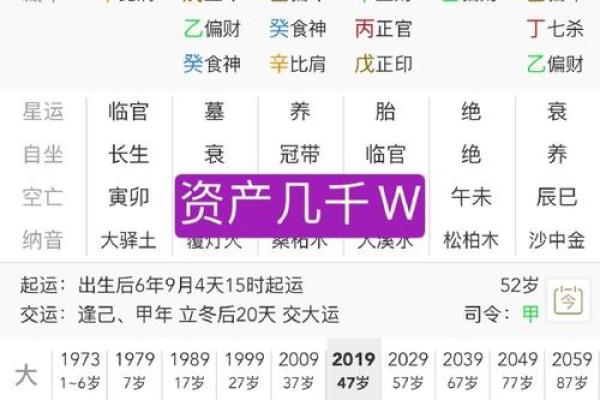 中华预测八字