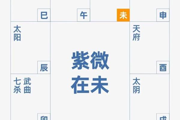 生男女紫薇斗数