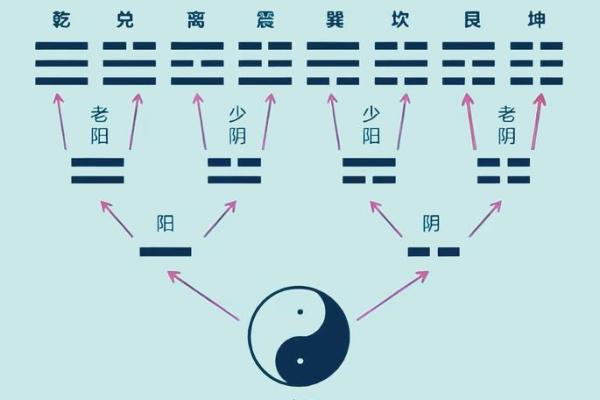 八字与八卦 八字与八卦