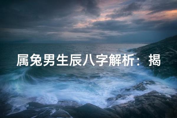 刘大师算命：从出生时辰看属兔人的财运