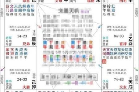 生年紫微斗数 紫薇斗数生年忌？