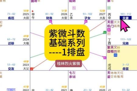 生男女紫薇斗数