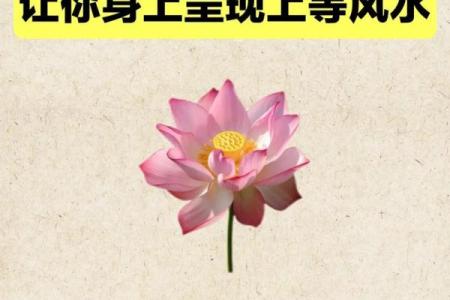 提升爱情运的风水，提升异性缘