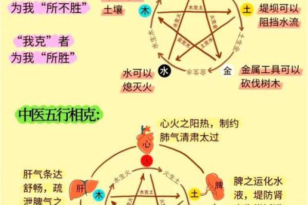 风水学：从入门到进阶，阴阳五行的相互关系与作用！