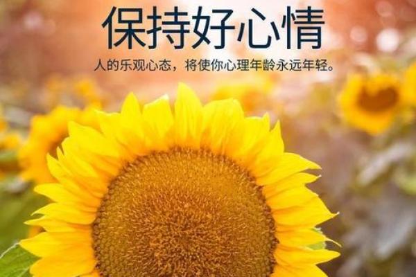 风水也许不能改运，但改善心情