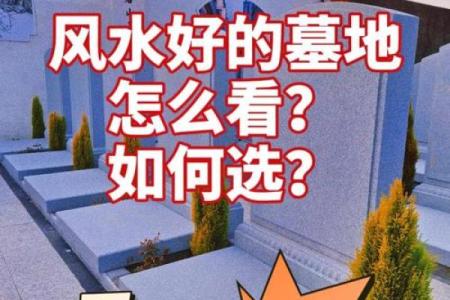 坟墓风水知识大全！