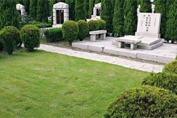 墓地种什么树好风水上有哪些讲究-