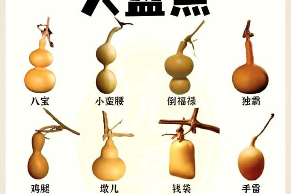 风水葫芦的作用和使用方法和忌讳