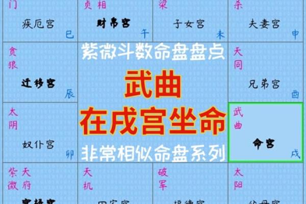 紫薇斗数文曲在申 紫薇斗数文曲在申