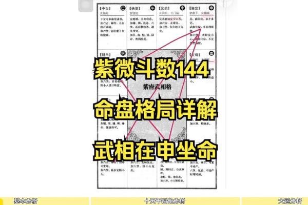 紫薇斗数文曲在申 紫薇斗数文曲在申