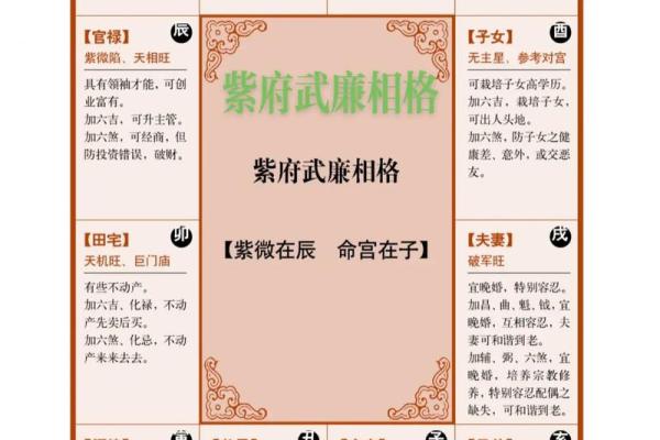 紫薇斗数子斗亥 紫薇斗数子斗亥