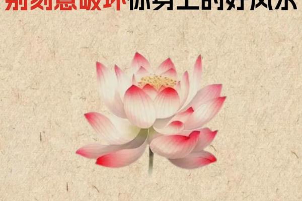 只需微调风水！即可修正办公室财运