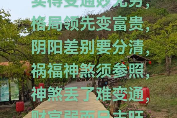 怎样调运气风水金口诀