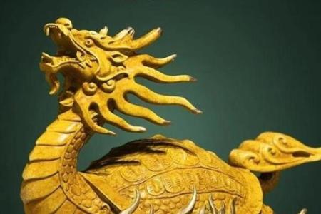 家中风水龙龟的摆放方法及禁忌