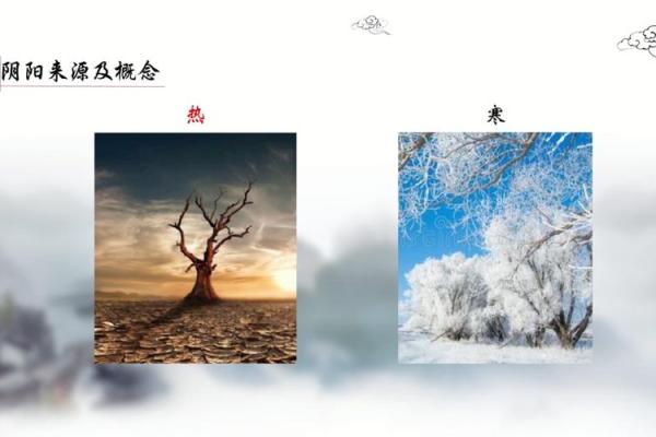 第一课丨什么是四柱八字？