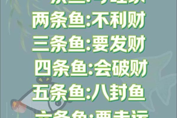 成鱼饲养“八字精养法”