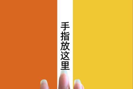 测试自己是什么肤色,测测你是什么肤色