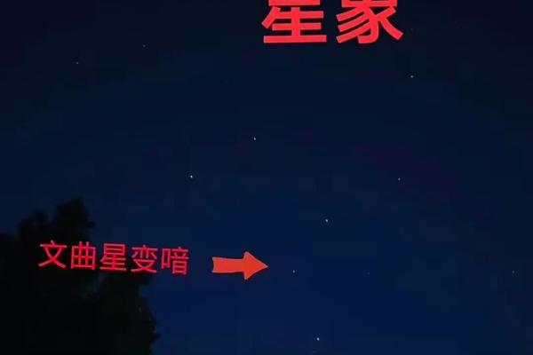 生辰八字天狗星：一个影响命运的神秘存在