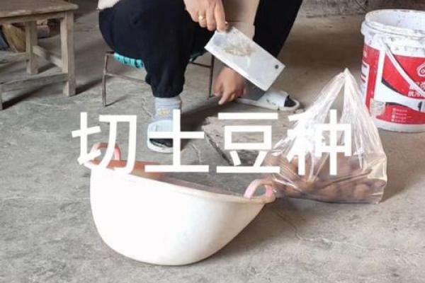 切土豆来测试你的交流能力!