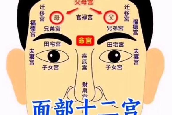 八字夫妻宫,太阳夫妻宫另一半特征面相