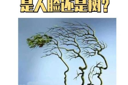 心理测试-你第一眼看到什么，测测你往后的路好不好走