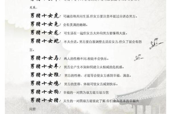合八字算婚姻 属猪男和兔女适合做夫妻吗