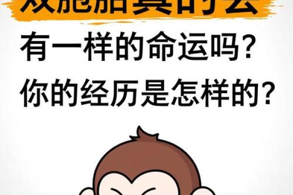 命理分析为何双胞胎八字相同命不同