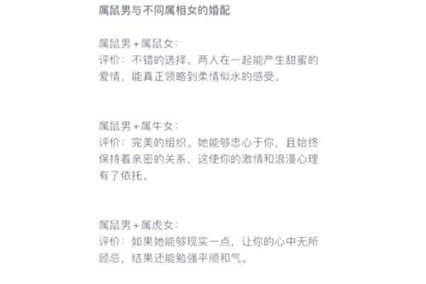 属鼠和属兔的八字合不合得来,属兔的跟属鼠的合财吗