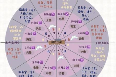 古典占星定位星,星盘最终定位星查询