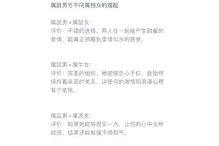属鼠和属兔的八字合不合得来,属兔的跟属鼠的合财吗