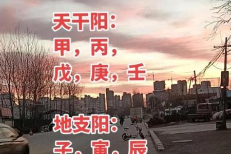 八字全阳的男人 八字全阳男命中带福